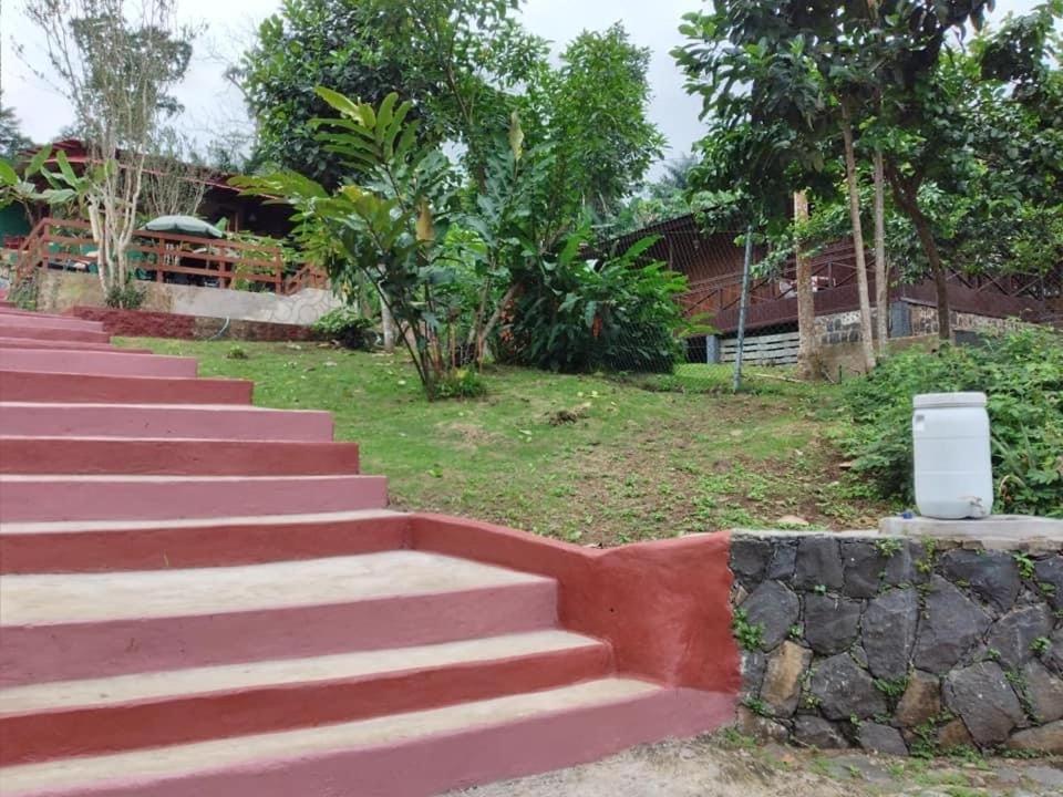 Guest House Quinta Natural Bangalots Graca Exterior foto