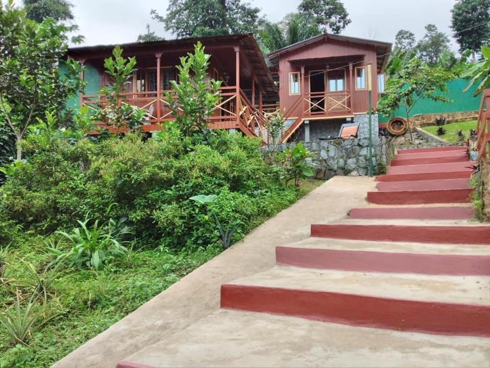 Guest House Quinta Natural Bangalots Graca Exterior foto