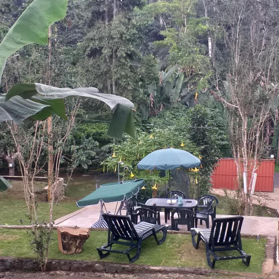 Guest House Quinta Natural Bangalots Graca Exterior foto
