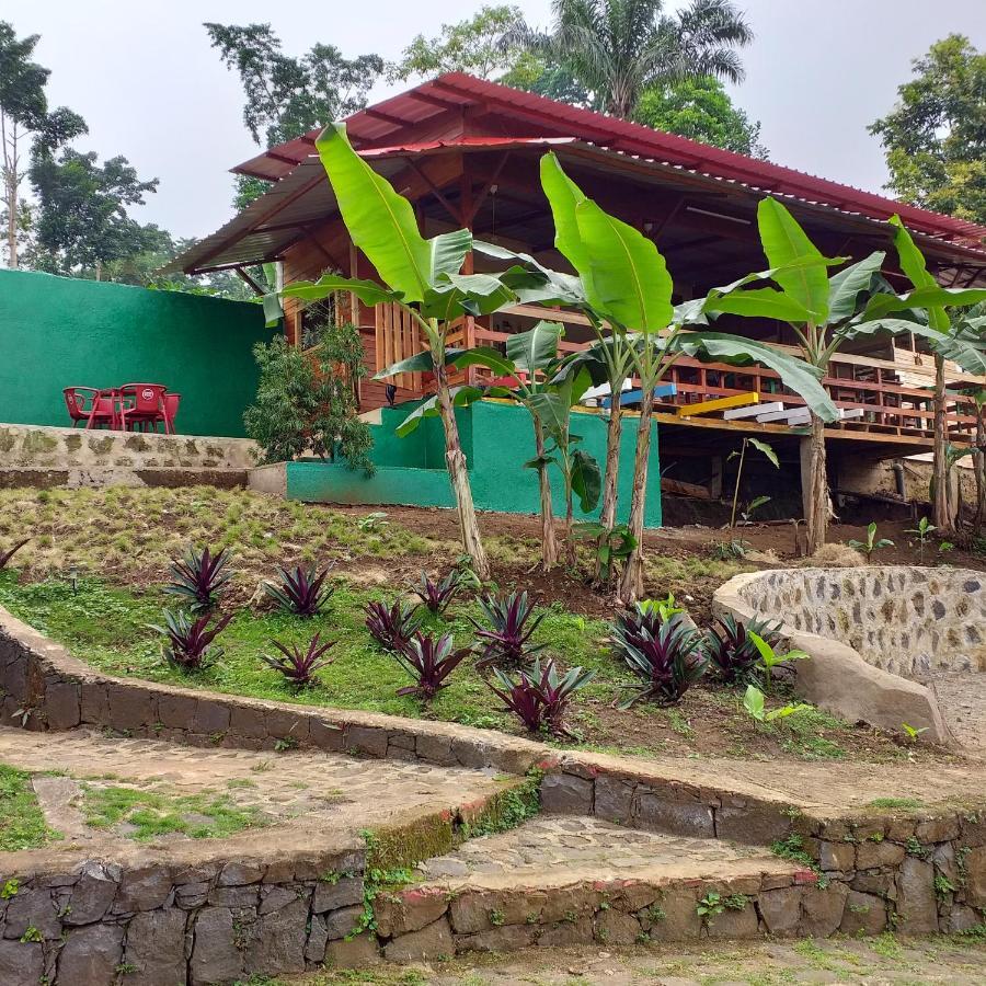 Guest House Quinta Natural Bangalots Graca Exterior foto